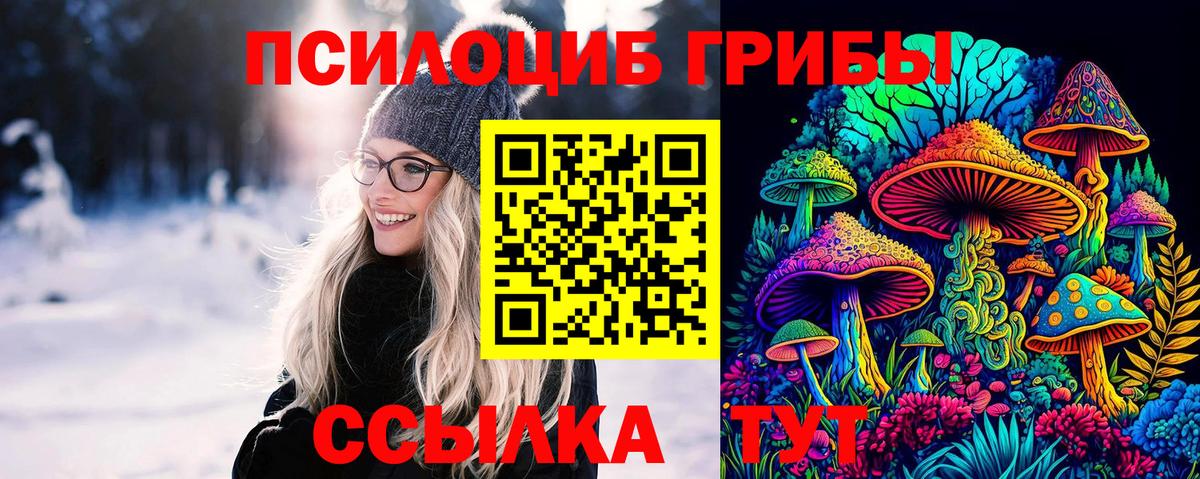 Псилоцибиновые грибы Psilocybine cubensis  Вход с VPN  Псилоцибиновые грибы Magic Shrooms  Владивосток 