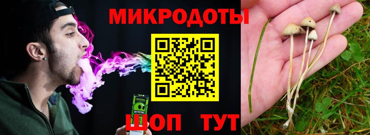 Галлюциногенные грибы ЛСД Владивосток